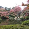 池の紅葉